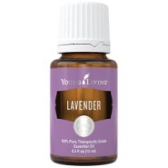 lavender lavanda