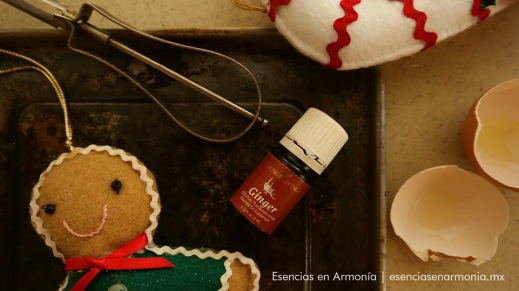 Image result for aromaterapia en las fiestas de navidad